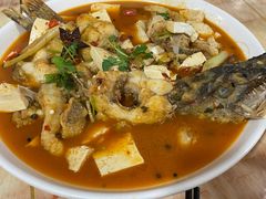 -煲来饱去冷水鱼