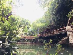 -海南槟榔谷黎苗文化旅游区