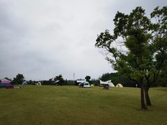 -嘉北郊野公园