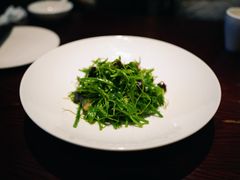 辣木苗拌鸡纵菌-永安鱼庄·镇江菜(东吴路店)