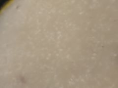 -馨越楼·点心·粤菜(赤坎店)