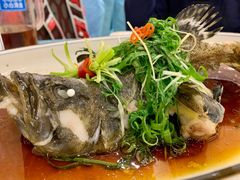 -御唐府海珊瑚主题餐厅