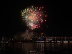 -台场海滨公园船码头