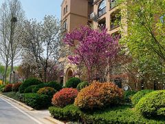 -思念果岭悦温泉