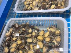 -青岛蓝海大饭店·爱琴海自助餐厅(崂山店)
