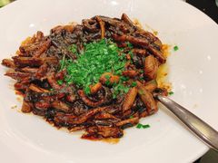 响油鳝丝-新雅粤菜馆(南京东路店)