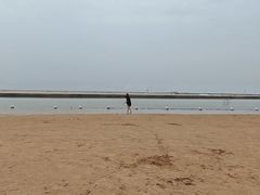 -碧海金沙