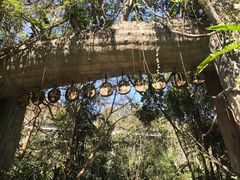 -西双版纳原始森林公园