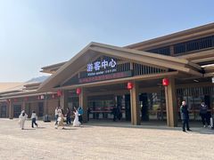 -千年银杏谷文化旅游区