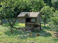 -上海野生动物园