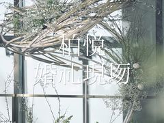 -上海柏悦酒店