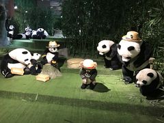 -成都泰迪熊博物馆