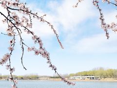 -大兴滨河森林公园