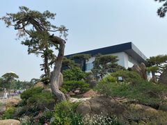 -罗红摄影艺术馆