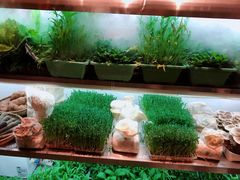 -鲜货俚鲜火锅(青果路店)