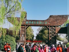 -溱湖国家湿地公园