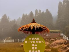 -玉苍山国家森林公园