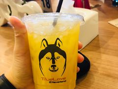 -TrueLove @ Neverland (Husky Cafe)