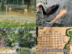 -深圳野生动物园