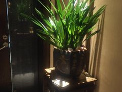 -足本纪·足道 SPA 简餐 小吃(文三西路店)