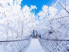 -中旅松花湖滑雪场