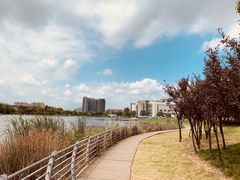 -美兰湖景区