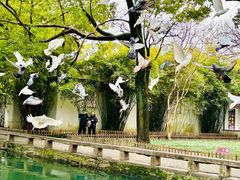 -西园戒幢律寺