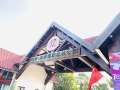 -上海海湾国家森林公园