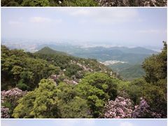 -梧桐山风景名胜区