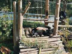 -黔灵山公园