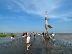 -南汇嘴观海公园