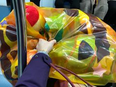 -LLJ夹机占(清河万象汇店)