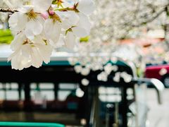 -南浦大桥长途旅游客运站