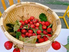 -辛庄国际文化艺术区