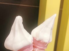 -麦当劳(呼市新华东街店)