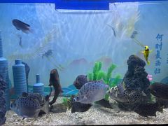 -烟台海昌鲸鲨海洋公园