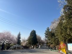 -兰山公园