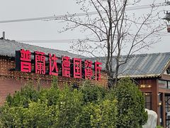 -普兰达德国餐厅·德式脆皮烤猪肘·自酿啤酒(观唐店)