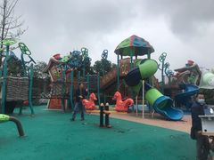 -两河城市森林公园