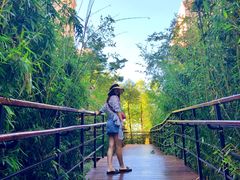 -七彩云南古滇温泉山庄