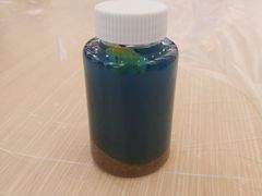 -斯坦星球青少儿编程机器人科学积木拼搭思维专注力科创竞赛规划(武汉凯德西城学习中心)