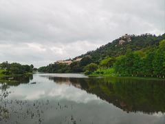 -厦门国家会计学院