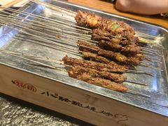 -福苗小骆驼烧烤(大唐不夜城店)