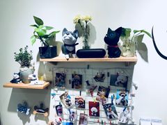 -小尾巴宠物店(万科·金域华庭店)