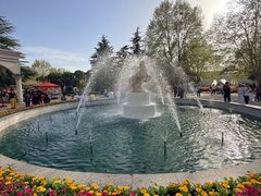 -洛阳郁金香牡丹园