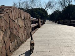 -上海滨江森林公园