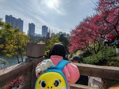 -重庆彩云湖湿地公园
