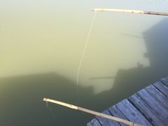 -乌村