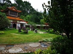 -深圳仙湖植物园