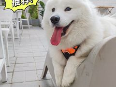 -小意思咖啡店(草桥店)